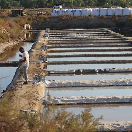 Audiência 49 Casa de Férias