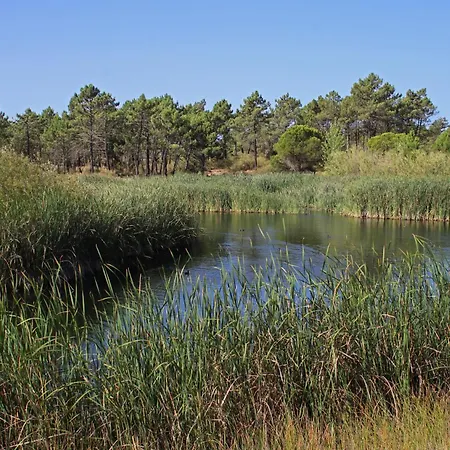 Audiencia 49 Dom wakacyjny *