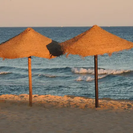 Casa de Férias Audiência 49