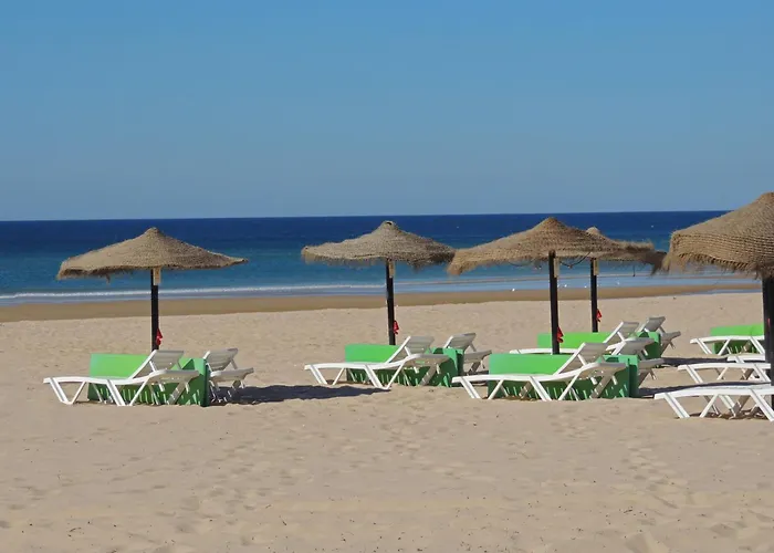 Audiencia 49 Monte Gordo